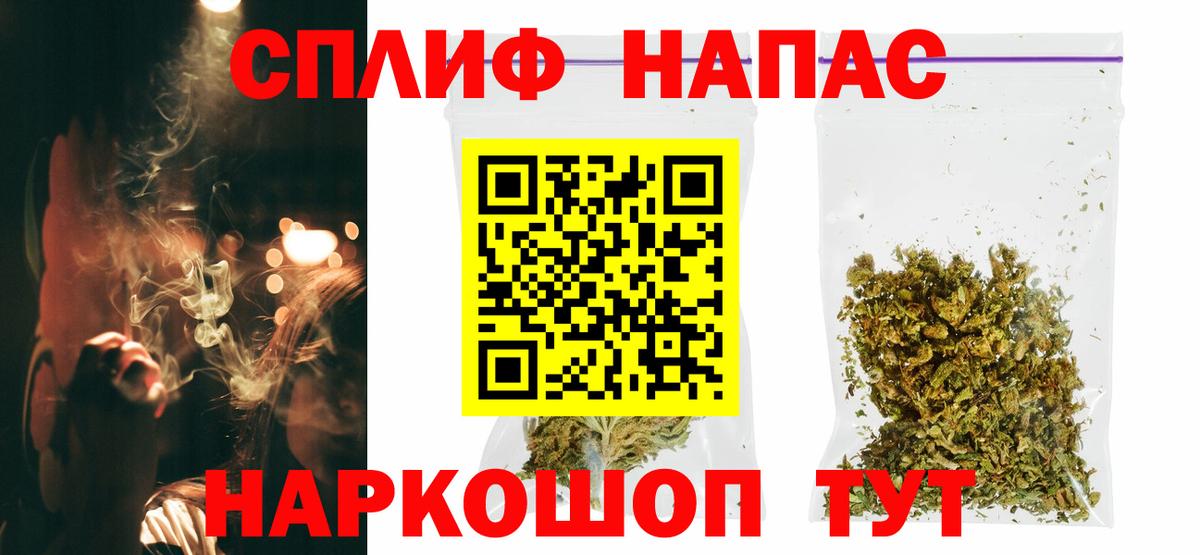 Каннабис сатива Кизляр